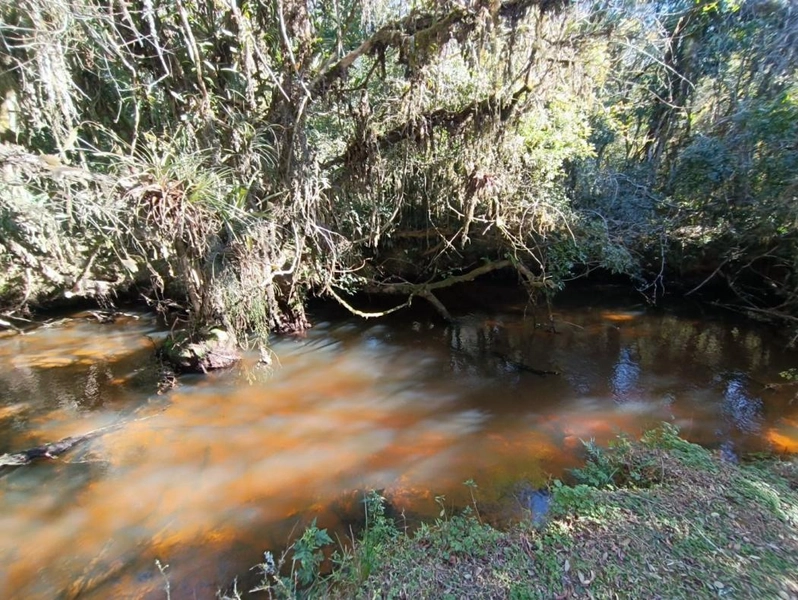 null: 30ª foto da galeria de imagens do imóvel