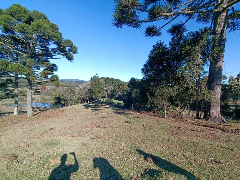 null: 4ª foto da galeria de imagens do imóvel