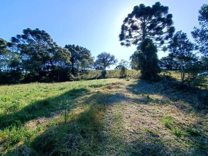 null: 5ª foto da galeria de imagens do imóvel