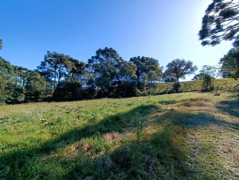 null: 6ª foto da galeria de imagens do imóvel