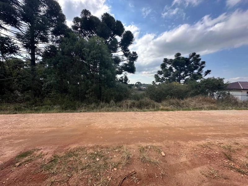 null: 2ª foto da galeria de imagens do imóvel