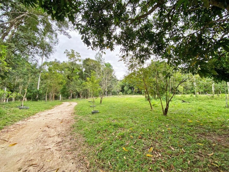 Imóvel residencial ou comercial