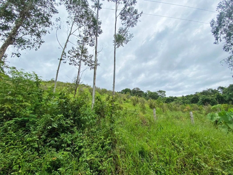 null: 14ª foto da galeria de imagens do imóvel