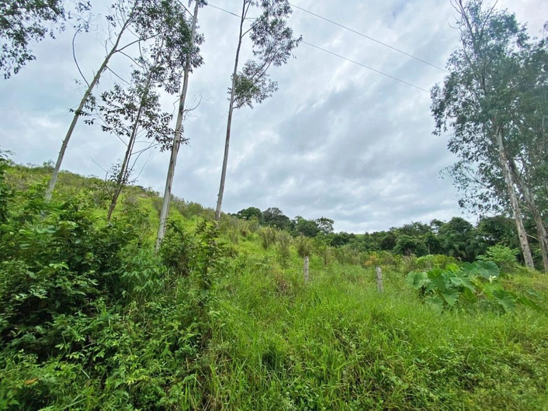 null: 15ª foto da galeria de imagens do imóvel