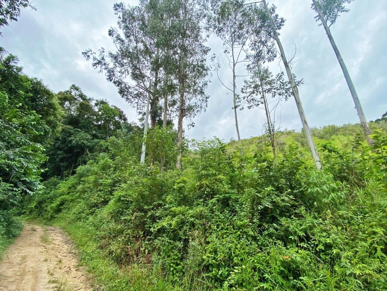 null: 16ª foto da galeria de imagens do imóvel