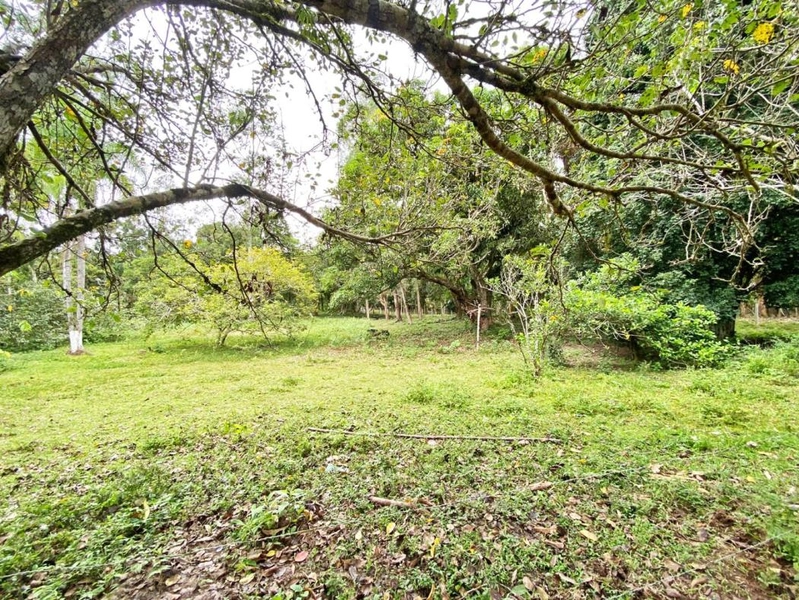 null: 2ª foto da galeria de imagens do imóvel