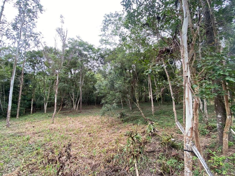 null: 23ª foto da galeria de imagens do imóvel