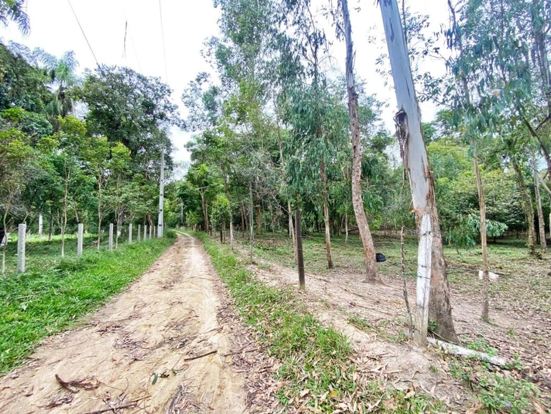 null: 25ª foto da galeria de imagens do imóvel