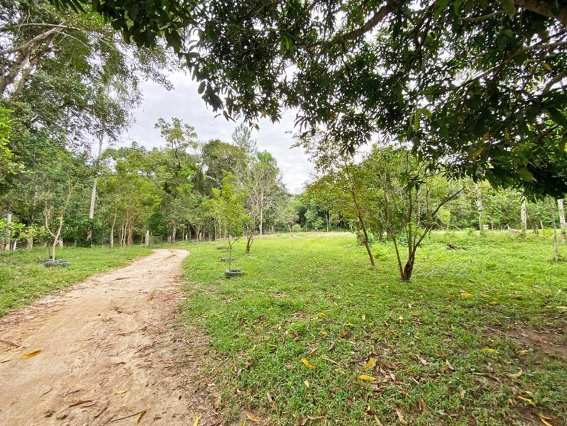 null: 3ª foto da galeria de imagens do imóvel