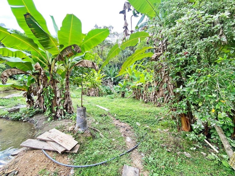 null: 36ª foto da galeria de imagens do imóvel