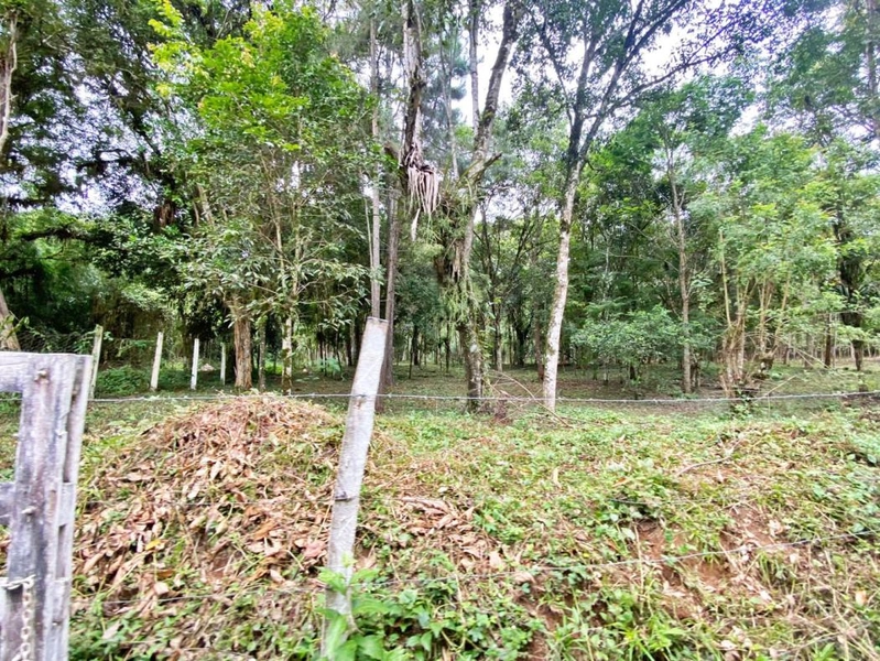 null: 39ª foto da galeria de imagens do imóvel