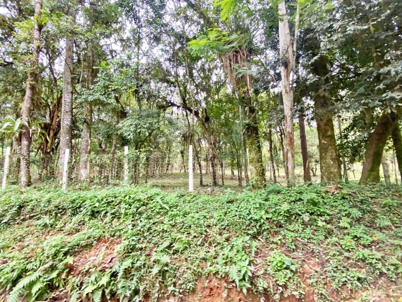 null: 40ª foto da galeria de imagens do imóvel