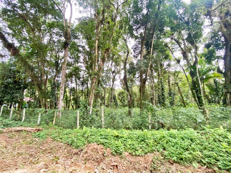 null: 45ª foto da galeria de imagens do imóvel