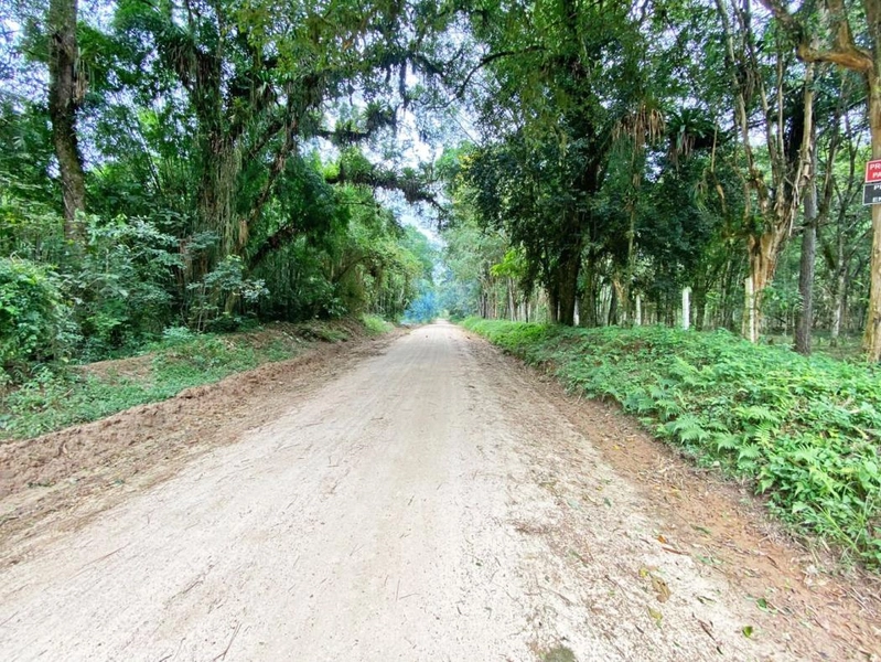 null: 48ª foto da galeria de imagens do imóvel