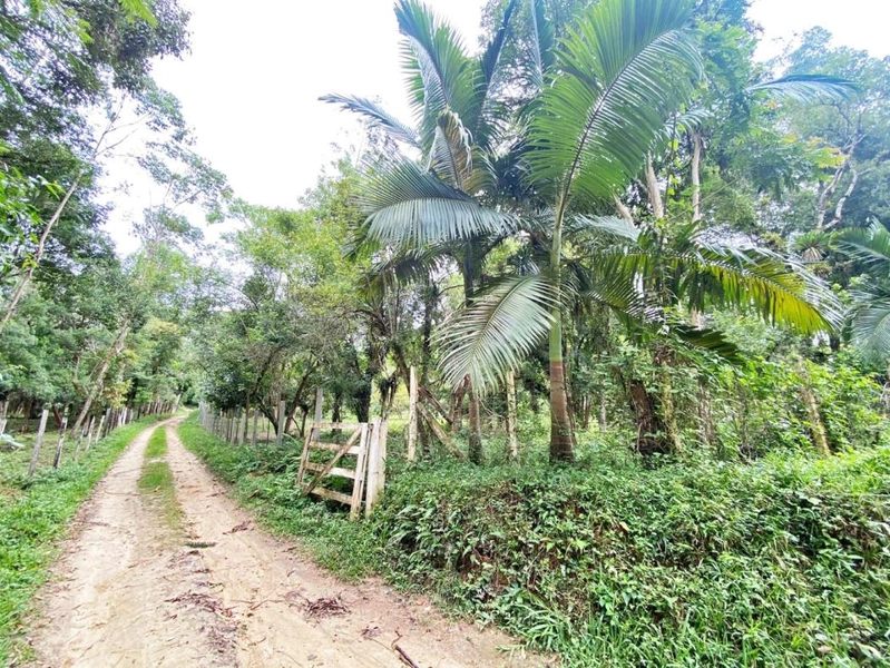 null: 49ª foto da galeria de imagens do imóvel