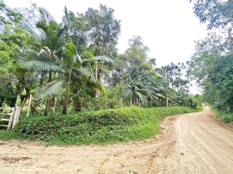 null: 50ª foto da galeria de imagens do imóvel