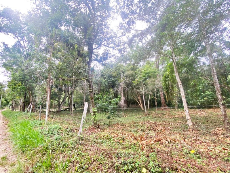 null: 8ª foto da galeria de imagens do imóvel