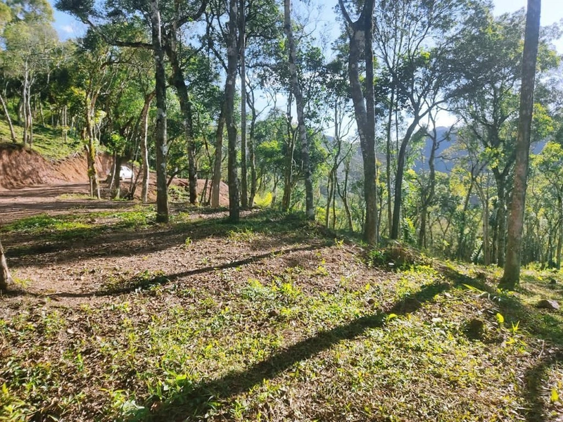 null: 10ª foto da galeria de imagens do imóvel