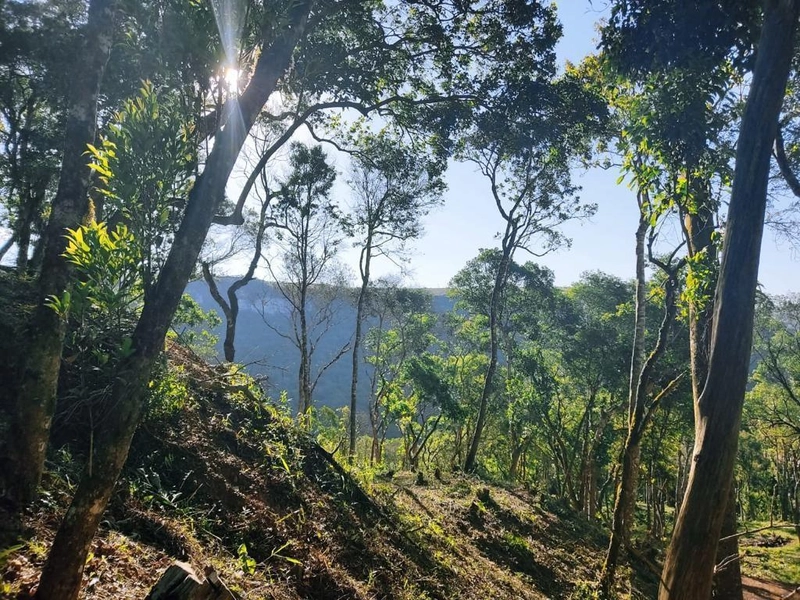 null: 14ª foto da galeria de imagens do imóvel