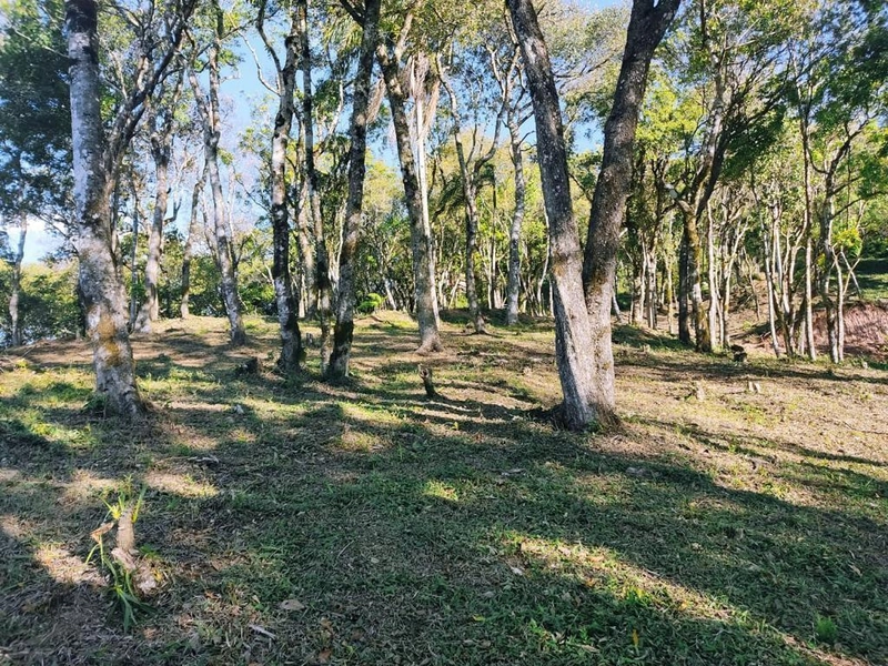 null: 5ª foto da galeria de imagens do imóvel