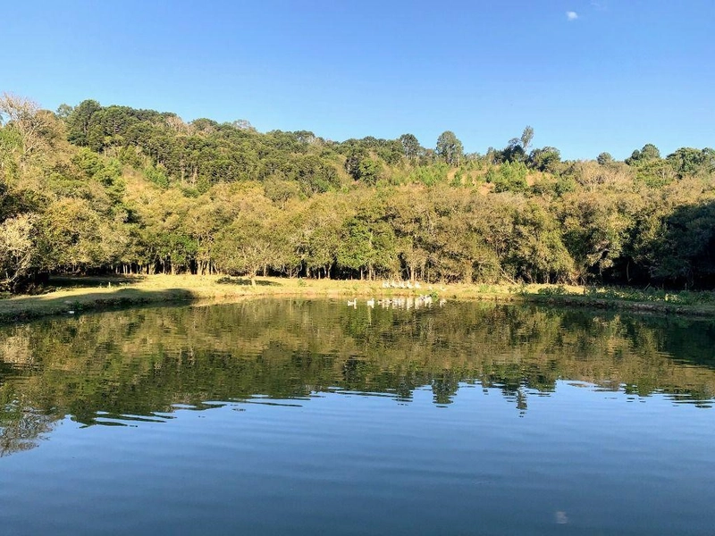 null: 16ª foto da galeria de imagens do imóvel