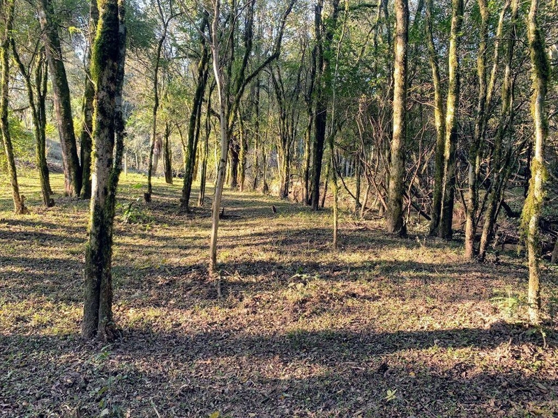 null: 20ª foto da galeria de imagens do imóvel