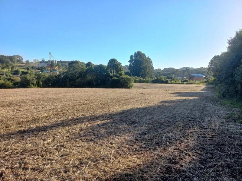 null: 19ª foto da galeria de imagens do imóvel