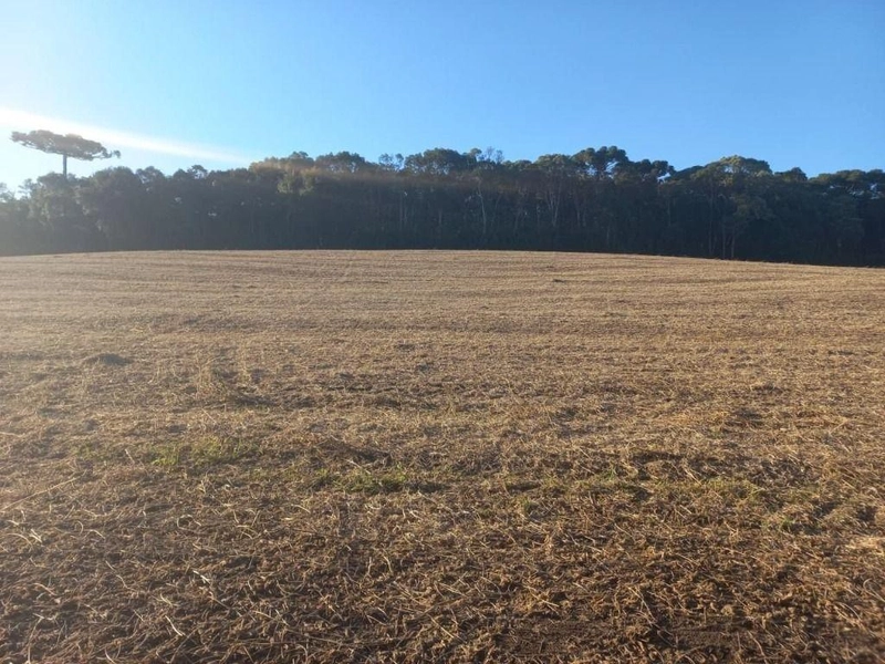 null: 22ª foto da galeria de imagens do imóvel