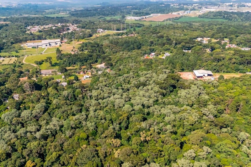 null: 12ª foto da galeria de imagens do imóvel