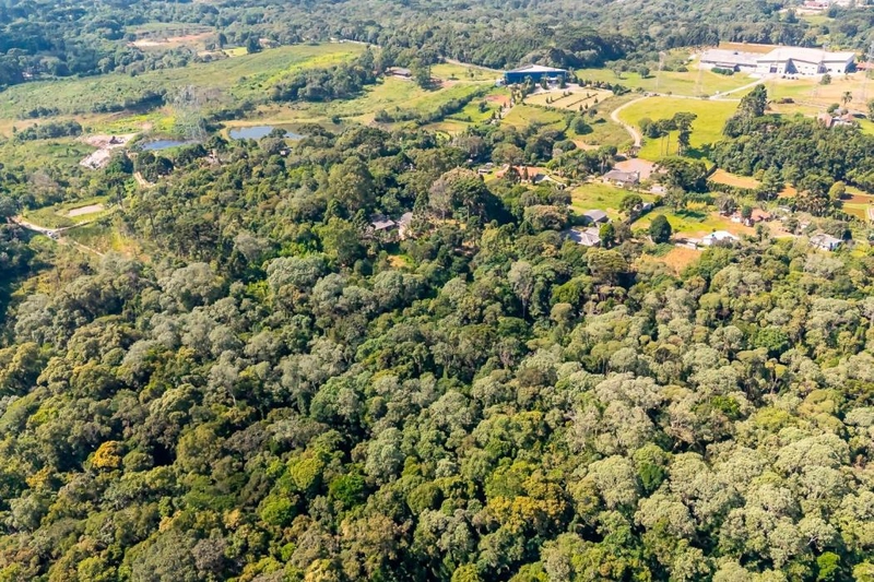 null: 4ª foto da galeria de imagens do imóvel