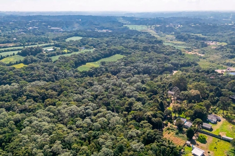 null: 8ª foto da galeria de imagens do imóvel