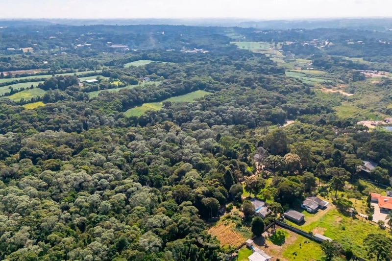 null: 9ª foto da galeria de imagens do imóvel