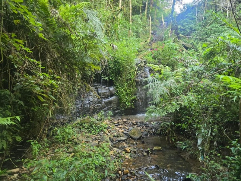 null: 1ª foto da galeria de imagens do imóvel