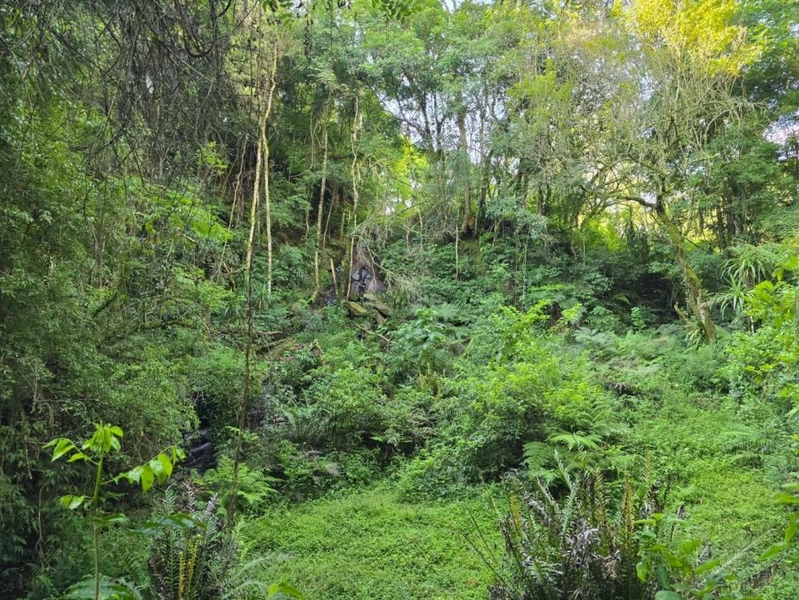 null: 10ª foto da galeria de imagens do imóvel