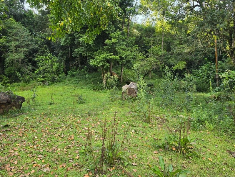 null: 19ª foto da galeria de imagens do imóvel