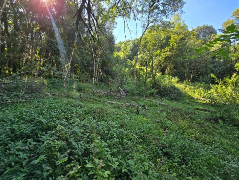 null: 31ª foto da galeria de imagens do imóvel