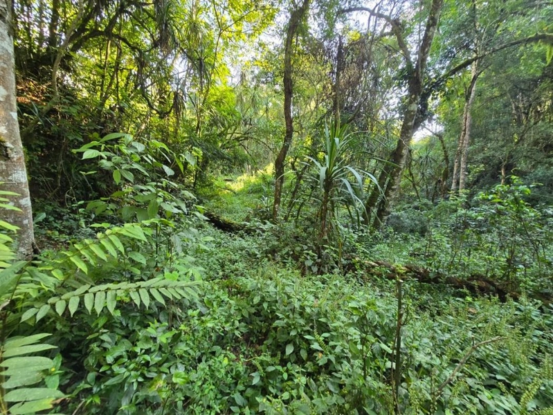 null: 33ª foto da galeria de imagens do imóvel