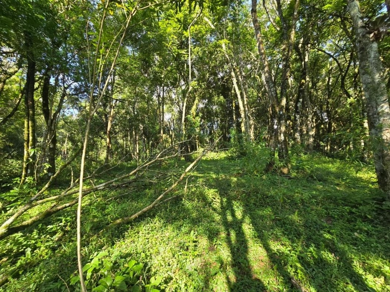 null: 45ª foto da galeria de imagens do imóvel