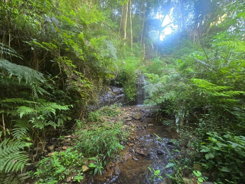 null: 5ª foto da galeria de imagens do imóvel