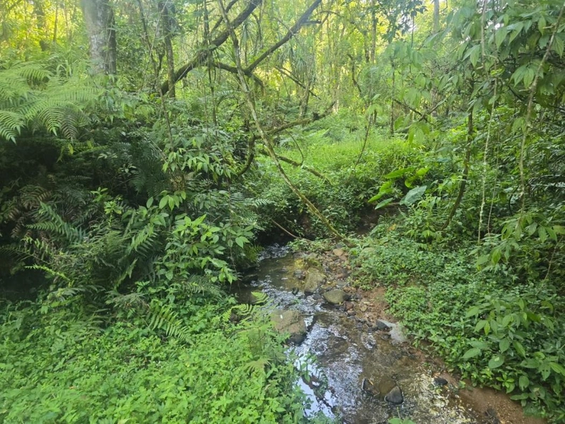 null: 6ª foto da galeria de imagens do imóvel