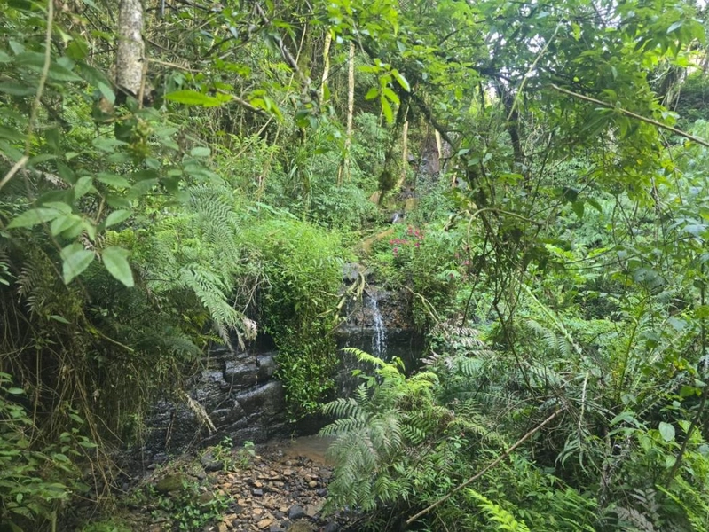 null: 9ª foto da galeria de imagens do imóvel