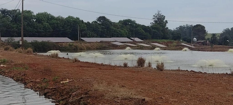 null: 4ª foto da galeria de imagens do imóvel