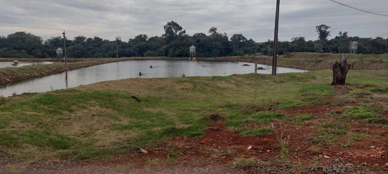 null: 9ª foto da galeria de imagens do imóvel