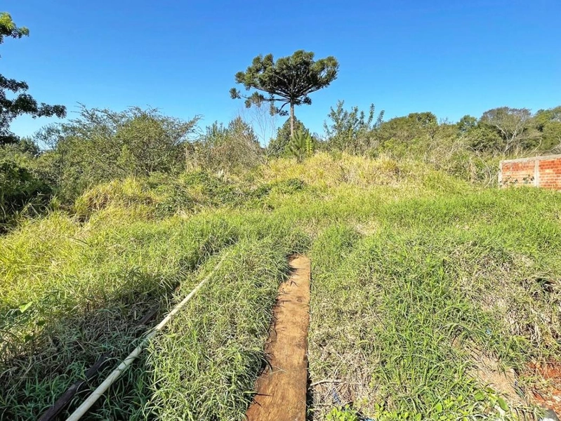 null: 2ª foto da galeria de imagens do imóvel