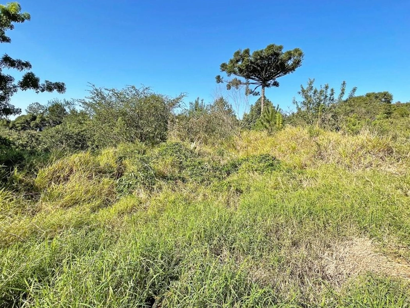 null: 3ª foto da galeria de imagens do imóvel