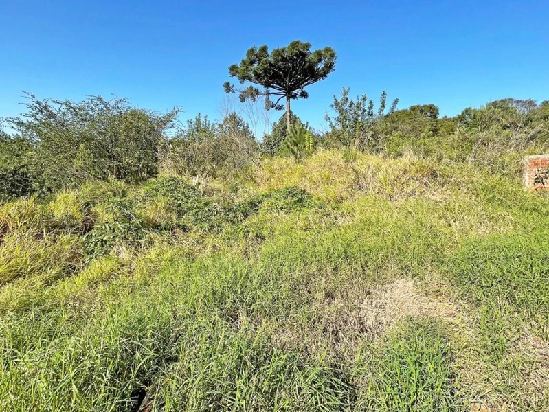 null: 4ª foto da galeria de imagens do imóvel