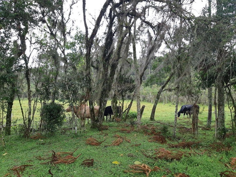 null: 10ª foto da galeria de imagens do imóvel