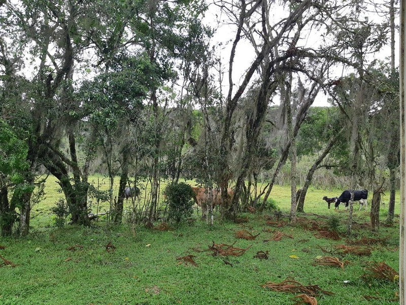 null: 11ª foto da galeria de imagens do imóvel