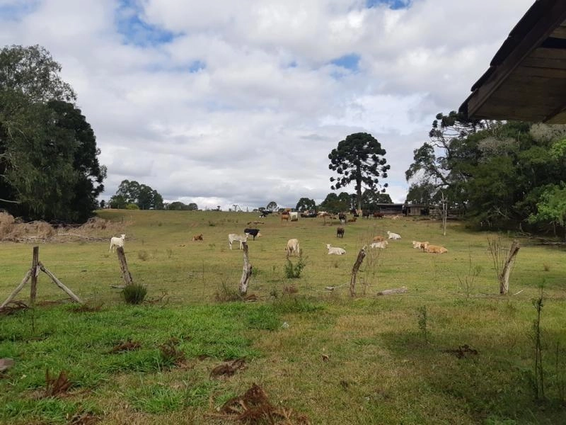 null: 14ª foto da galeria de imagens do imóvel