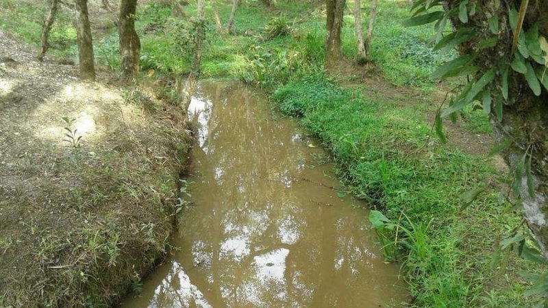 null: 16ª foto da galeria de imagens do imóvel